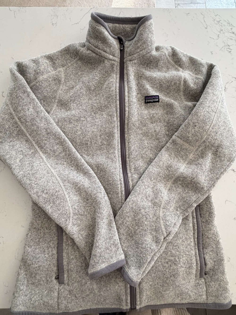 Patagonia Light Heather Gray Full-Zip Fleece Jacket